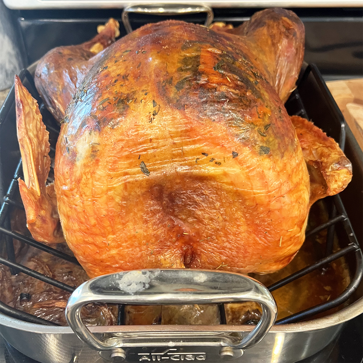 Coffee bean turkey in a roasting pan.