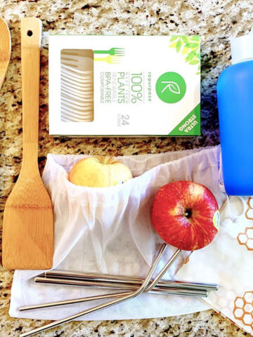 An assortment of plastic-free tools on a counter